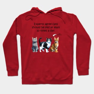 Experts agree cats should be fed at least 10 times a day - funny watercolour cat design Hoodie